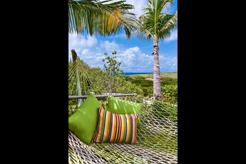 Tequila Sunrise photo 21