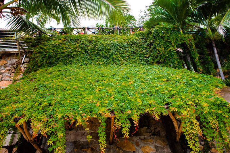 Casa Cosmos photo 38