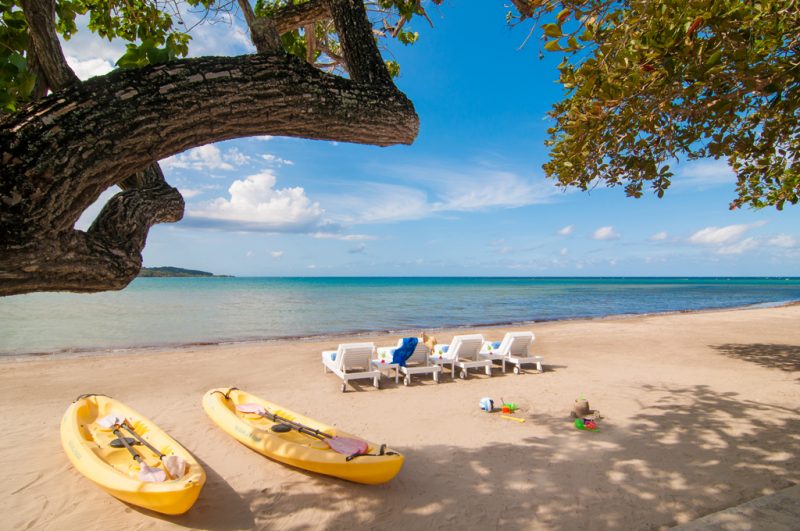 Noble House on the Beach photo 11