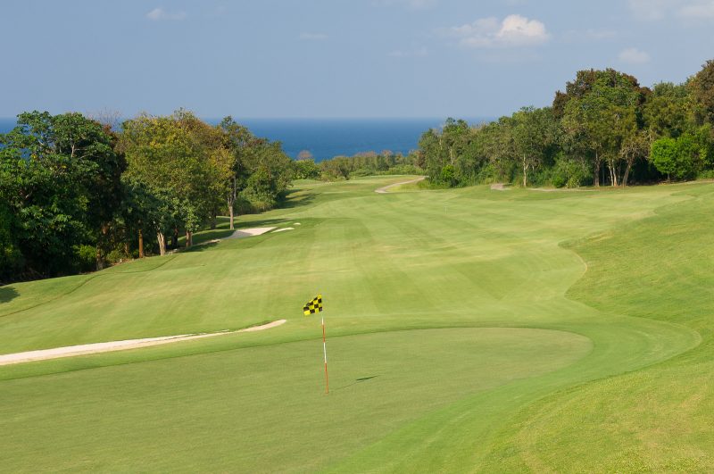 Tek Time Golf Villa on Cinnamon Hill photo 8