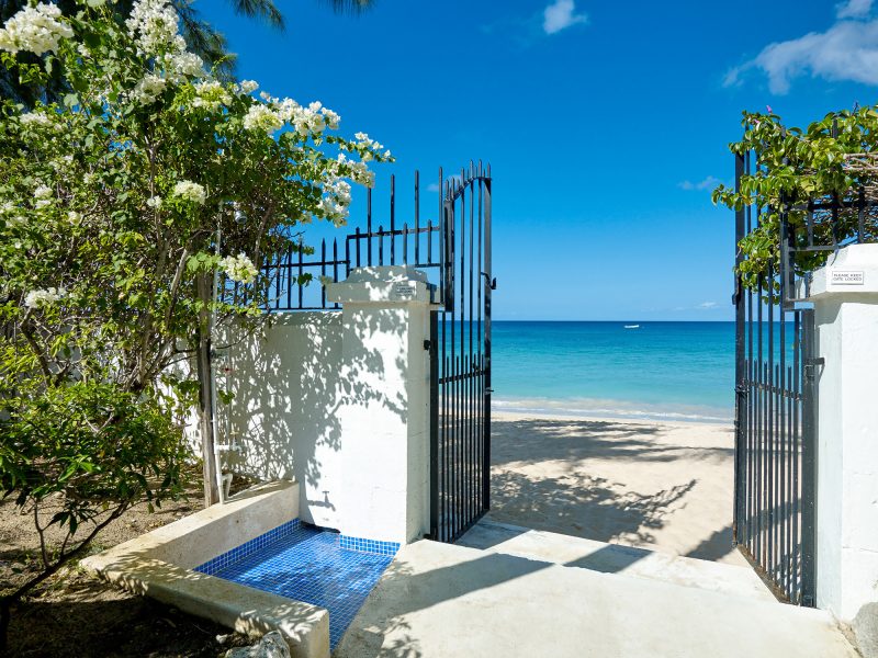 New Mansion photo 4
